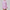 Luxury women’s tennis outfit featuring performance crop top, pleated tennis skirt and lightweight zip jacket, premium courtwear set designed for tennis and active lifestyle