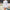 Luxury women's tennis dresses with athletic silhouette and refined tennis lifestyle aesthetic on court